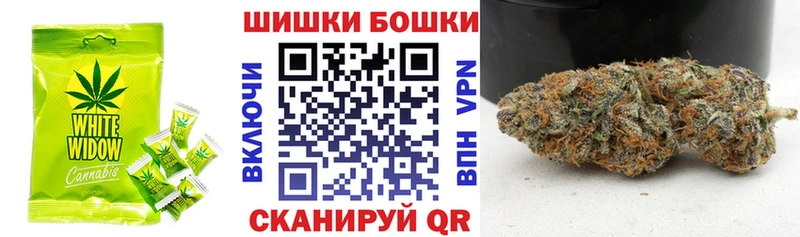 Canna-Cookies марихуана  Купить  Кстово 