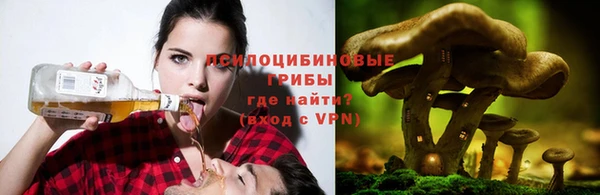 гидропоника Беломорск