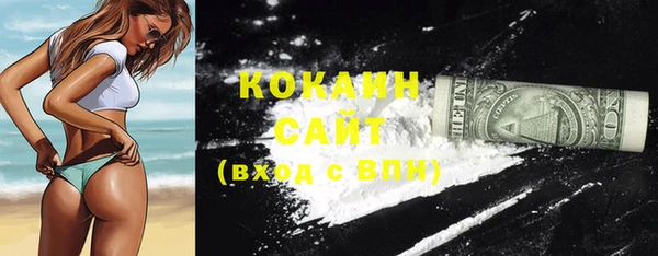 прущие крисы Балахна