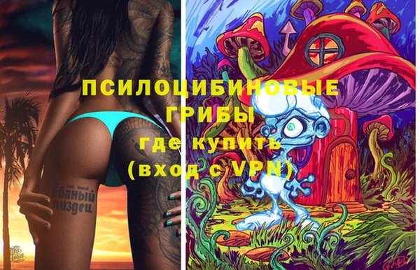 кокс Баксан