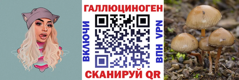 Галлюциногенные грибы Psilocybe  Купить  Кстово 